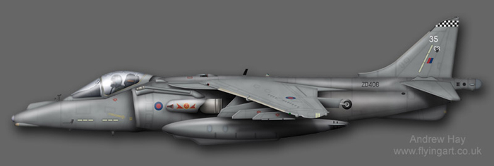 Harrier GR.9 ZD406 800 & 801 NAS Naval Strike Wing  
